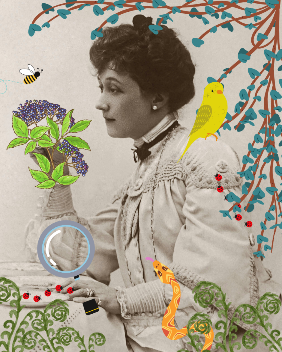 A vintage woman looks at botanicals at a table surrounded by animals and foliage.