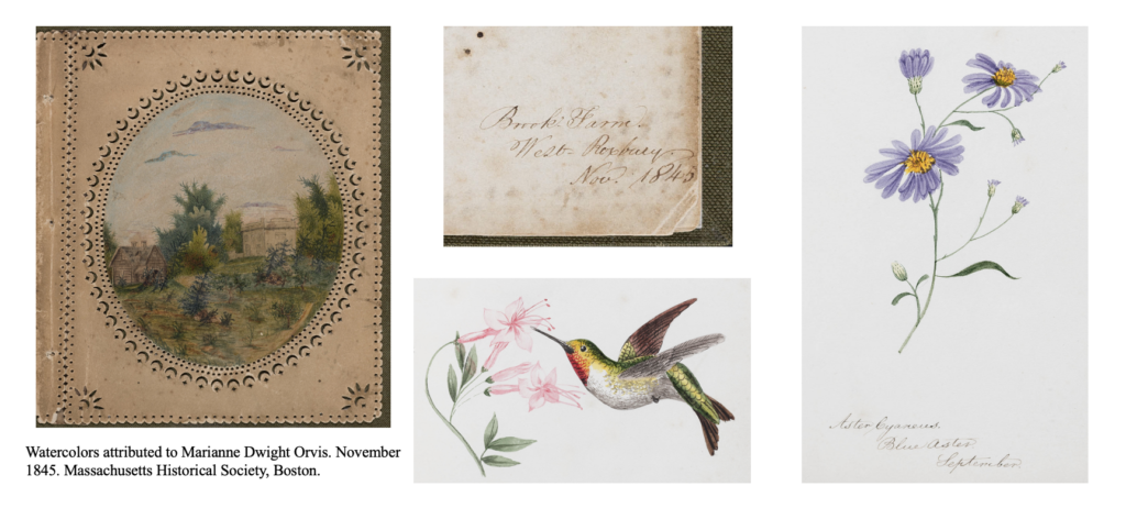 Several examples of watercolors including flowers, a garden, and a hummingbird, as well as a signature.